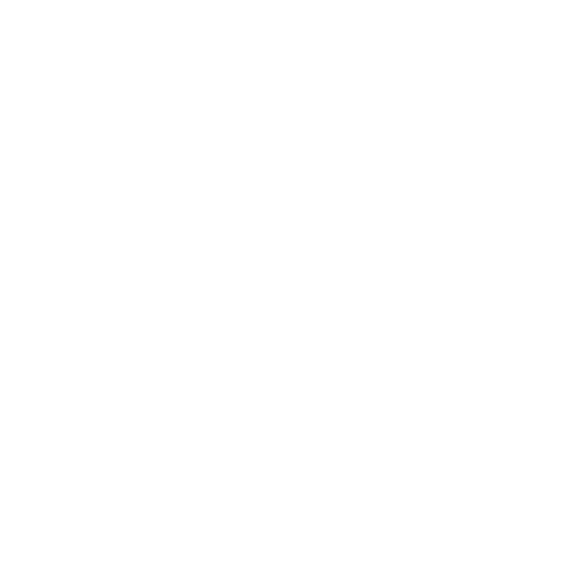 Brasil Fest Brno